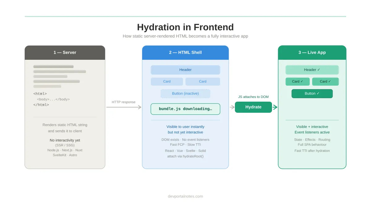 Hydration in Frontend Frameworks: Why We Hydrate